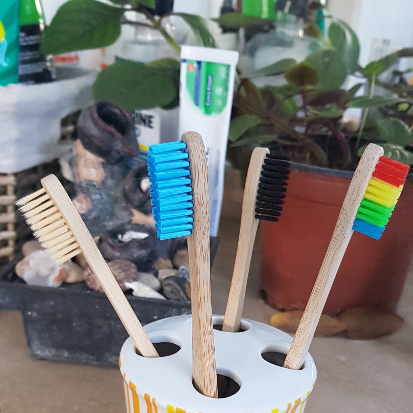 Cepillo de dientes Bambú ecológico